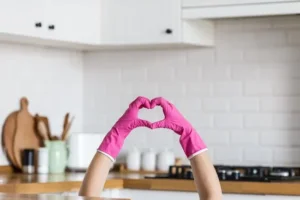 How to keep your House Clean and avoid Nasty Flu 2 How to keep your House Clean and avoid Nasty Flu